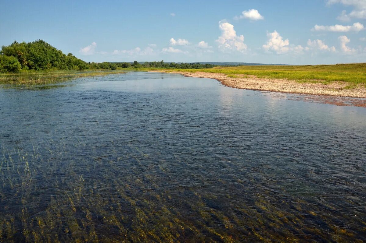 Река Кама в Удмуртии. Верховье реки Кама. Река Кама течение реки. Камская река. Река кама является притоком реки