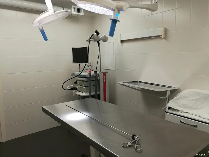 балашиха железнодорожный ветеринарная клиника астин. альфавет ветеринарная клиника барнаул. ветеринарная клиника люблино. ветеринарный центр на текстильщиках. ветеринарный центр в текстильщиках.