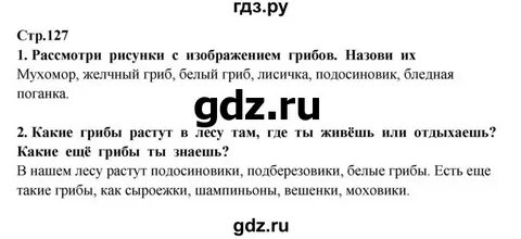 Класс страница 127