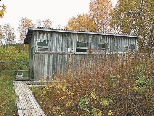 Посёлок Пай Республика Карелия. Карелия поселок Пай больница. П Пай Карелия 1970х.