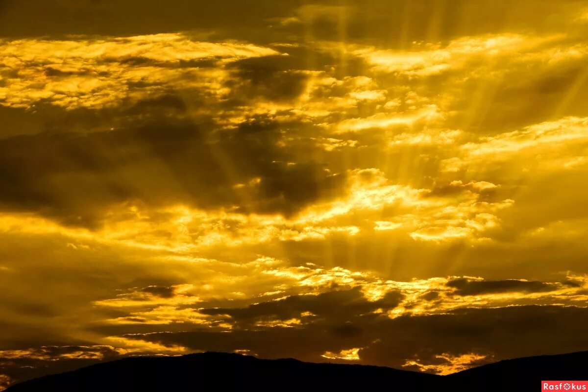 Gold sunset. Золотой закат. Золотистое небо. Красивый, золотистый, закат. Золотые облака.