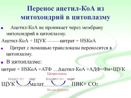 Механизмом переноса