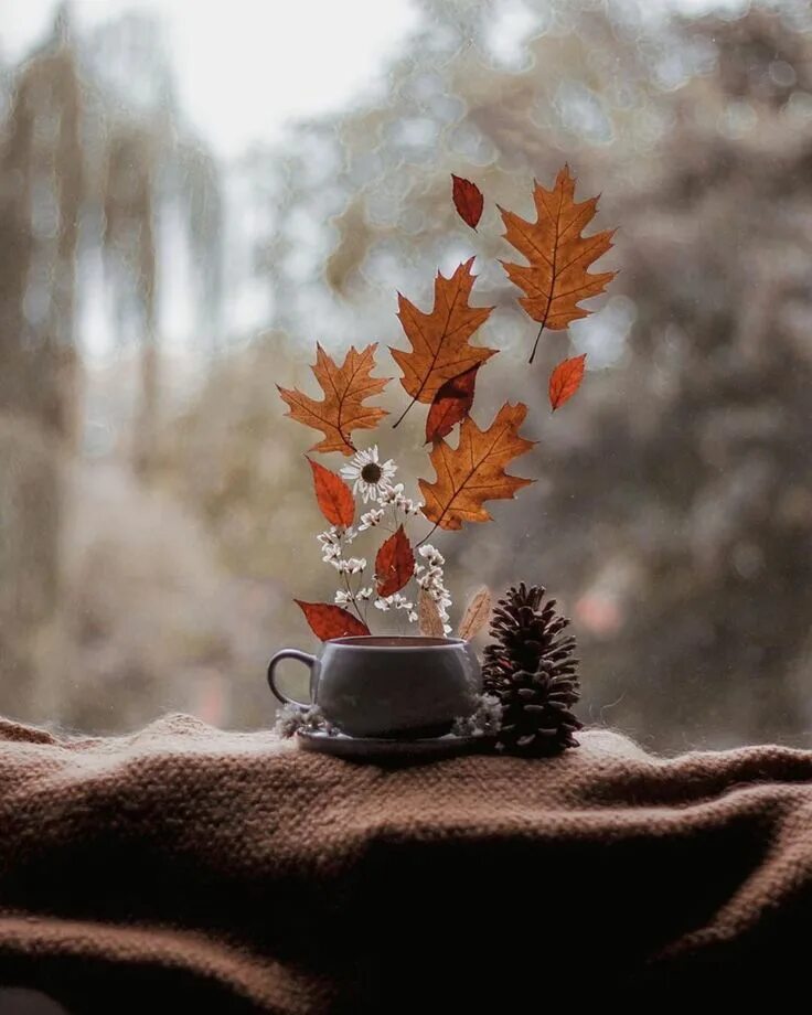 Осеннее настроение. Доброе утро ноябрь. Холодное осеннее утро. С добрым утром ноября.