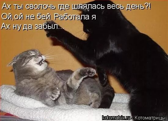молилась ли ты на ночь дездемона. молилась на ночь дездемона. молилась ли ты на ночь. молилась ли ты на ночь дездемона прикол. молилась ли ты на ночь откуда.