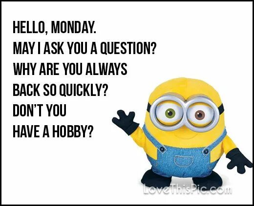 Hello lets me today. Hello saturday. hello monday картинки. why monday. hello monday avatar.