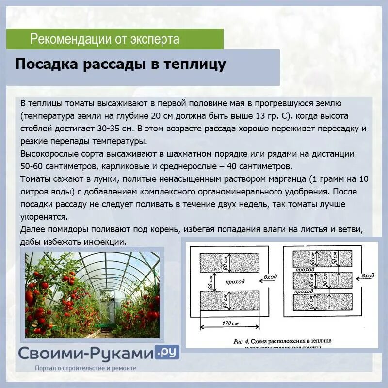 Сколько кустов томатов можно посадить. Схема высадки томатов в теплице 3х6. Схема посадки томатов в теплице 3х4. Схема посадки томатов в теплице 2 на 4. Схема посадки томатов в теплице 3х6.