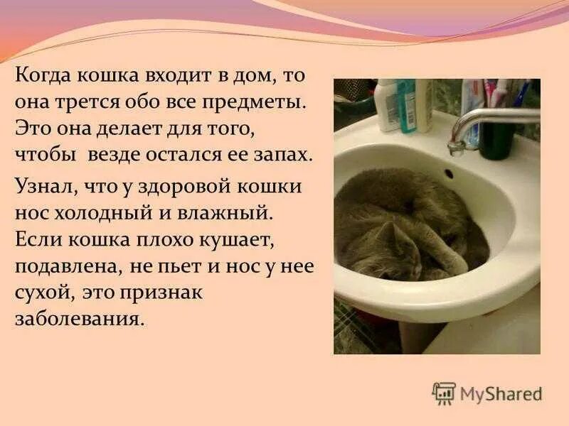 Почему во влажных