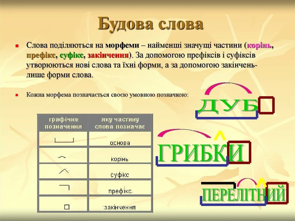 Будов слова. Будова слова. Значущі частини слова. Основа слова. Закінчення слова.