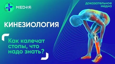 Прикладная кинезиология