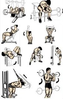 The Best Triceps Exercises to Build Muscle Fast –