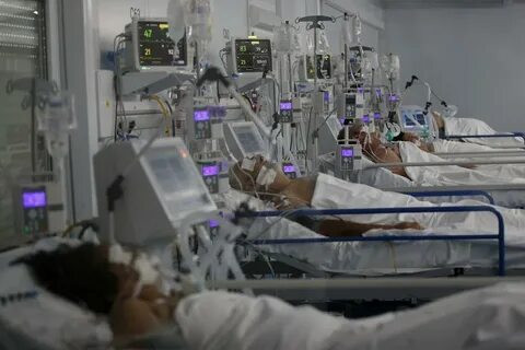 Новый вирус последние новости