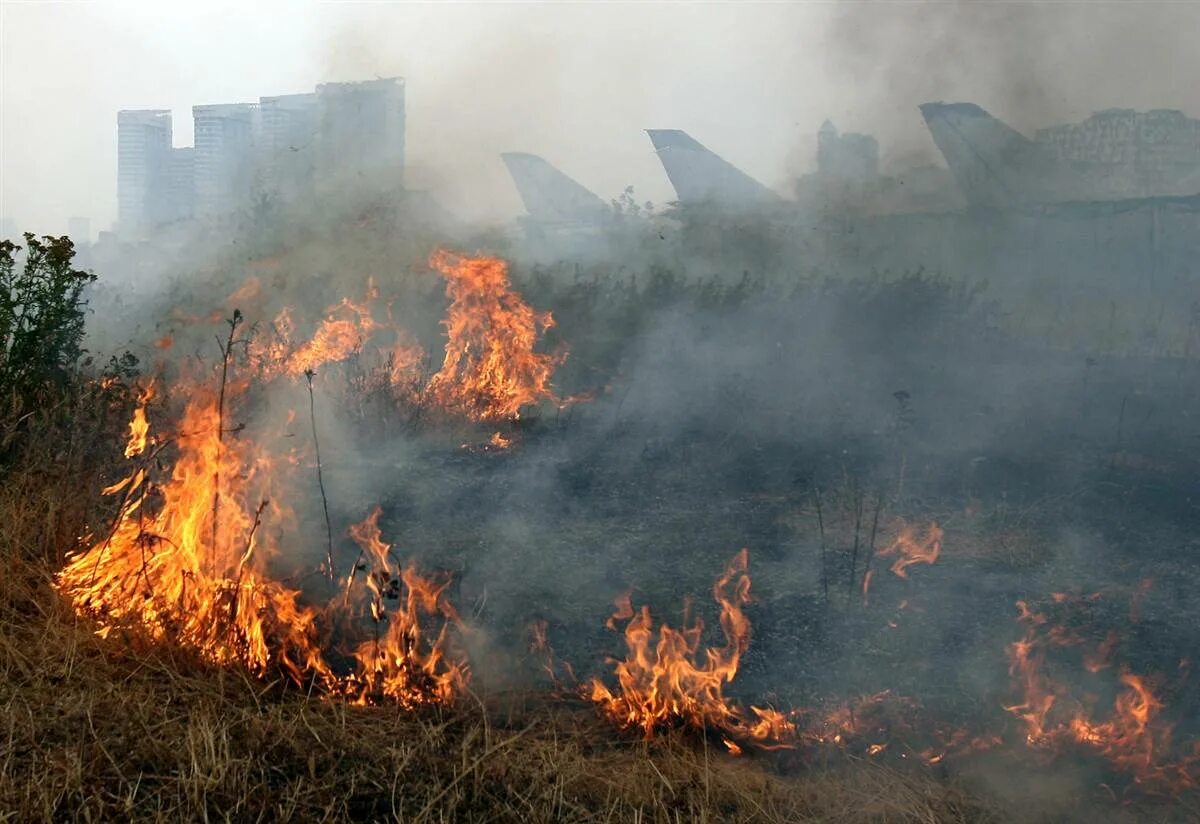 Лесные пожары ханты-мансийск. Торфяные пожары 2010. Природные пожары. Природные пожары (лесные, степные, торфяные и ландшафтные пожары). В каких городах пожары.