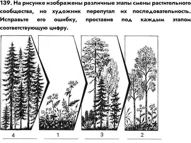 Параграф 17 растительные сообщества. Растительное сообщество рисунок. Смена растительных сообществ. Последовательность смены растительных сообществ. Растительные сообщества схема.