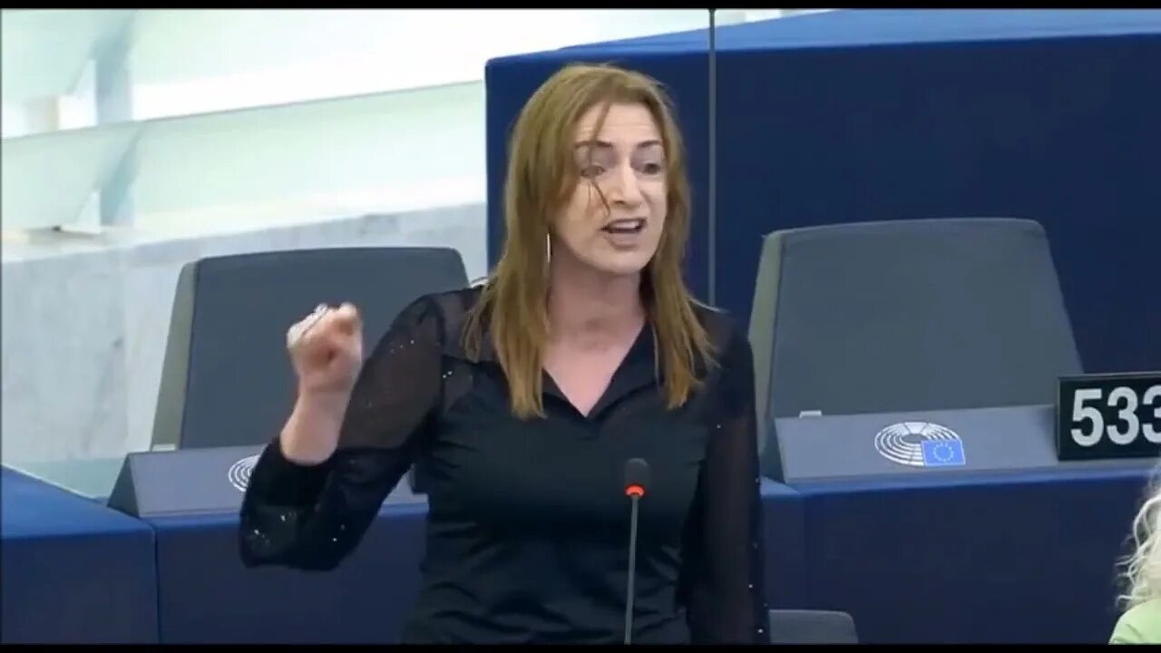 Выступление в европарламенте