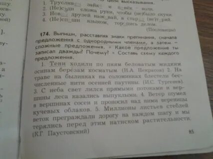 Дружба жаворонка и золотых рыбок