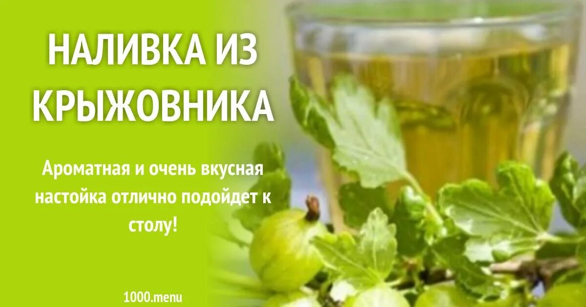 Настойка ароматная. Этикетка вино из крыжовника. Напиток из крыжовника. Настойка на крыжовнике. Этикетка для бутылки настойки крыжовника.