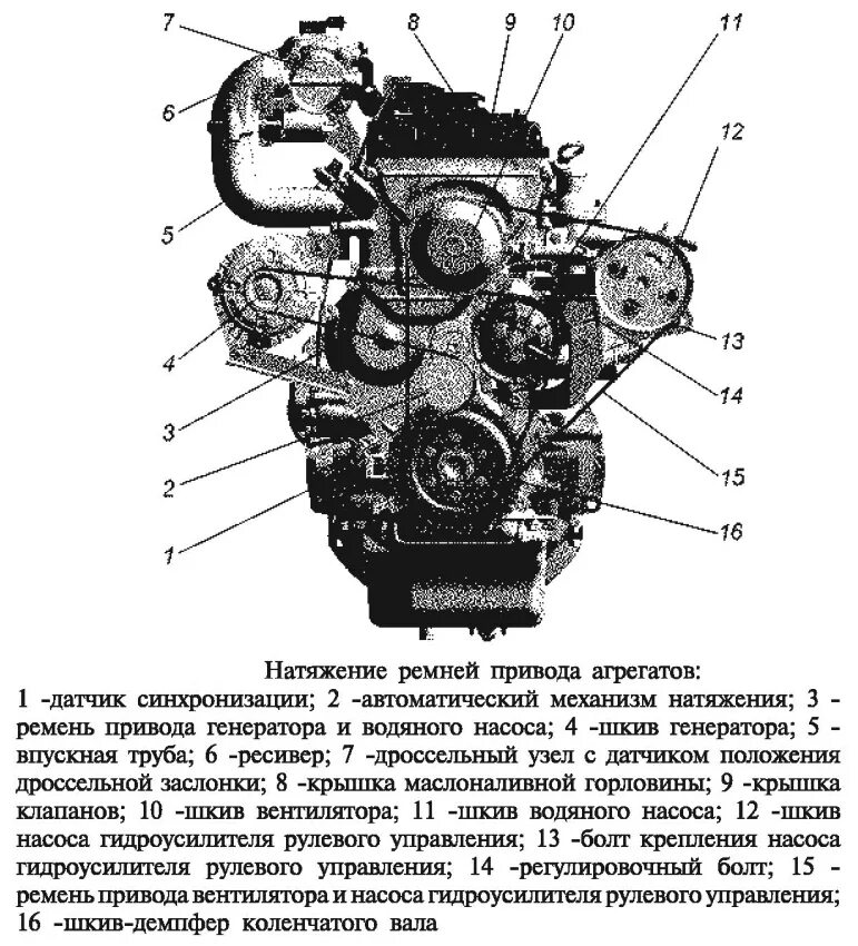 Схема ремней уаз 409. Схема двигателя Патриот 409 двигатель. Ремень генератора УАЗ Буханка 409 схема. Приводной ремень УАЗ Патриот 409 двигатель схема. ЗМЗ 409 ремень привода агрегатов схема.