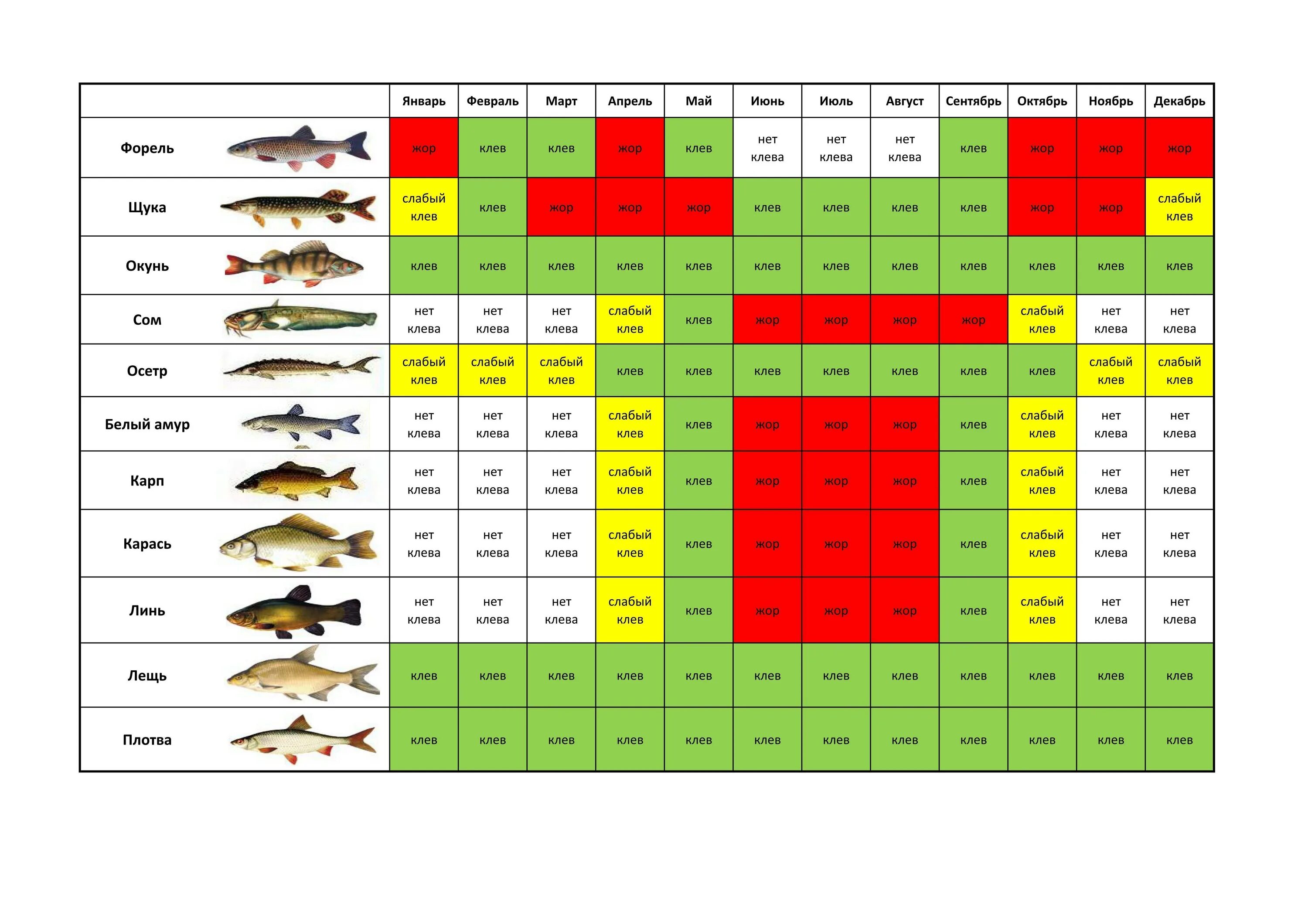 Нерестовый запрет в свердловской области 2024 году. Лунный рыболовный календарь на 2022. Лунный календарь клёва рыбы на 2022. Календарь клёва щуки на 2022. Лунный календарь для рыбалки 2022.