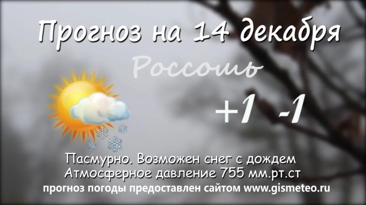 Погода Россошь. Погода Россошь Воронежская область. Погода в Россоши сейчас. Погода в Россоши на сегодня.