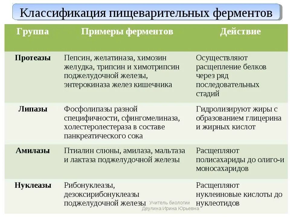 Какая система вырабатывает ферменты. Таблица по биологии 8 класс ферменты пищеварения. Ферменты и их функции таблица. Ферменты пищеварительной системы таблица. Функции ферментов пищеварительной системы таблица.