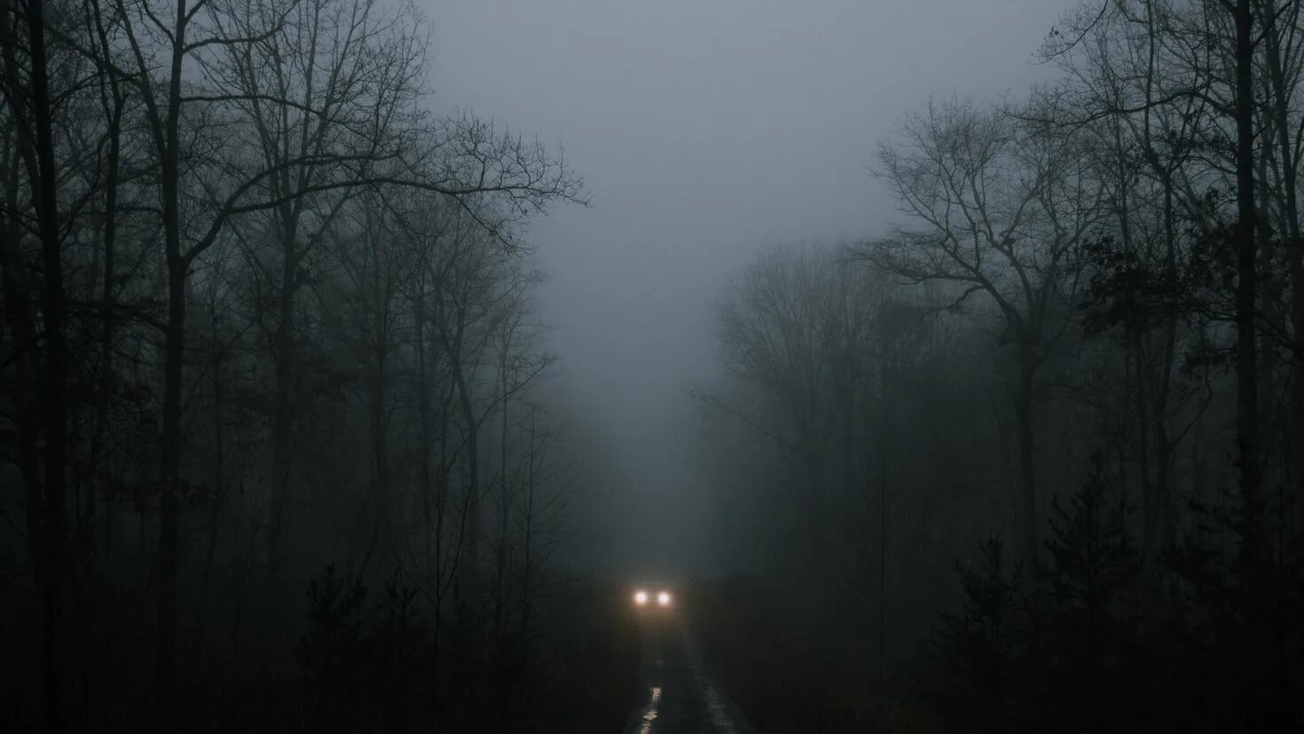 Темнота россия. Мрачный лес. Дорога в тумане. Туман ночью. Лесная дорога ночью.