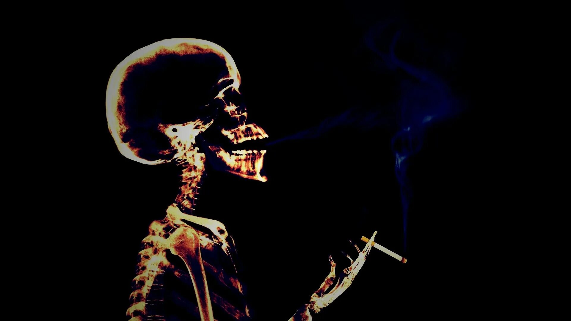 скелеты под фонк