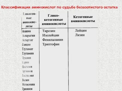 Гликогенные аминокислоты это