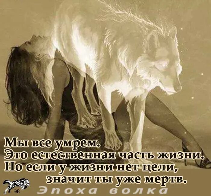 Воет днем человек. Девушка с душой волка. Душа животных. Душа волка в человеке.
