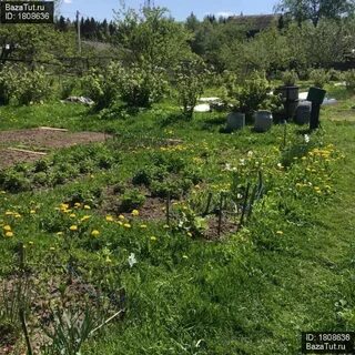 Участок 29