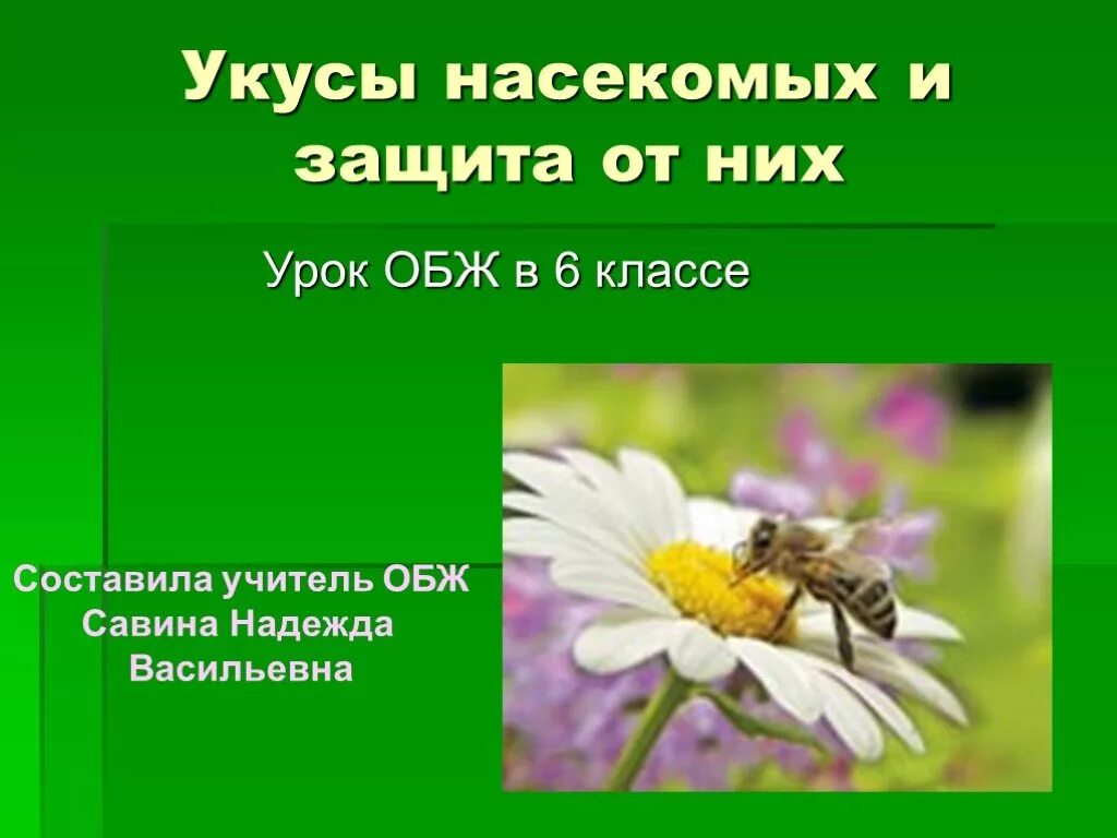 Укусы насекомых и защита от них обж