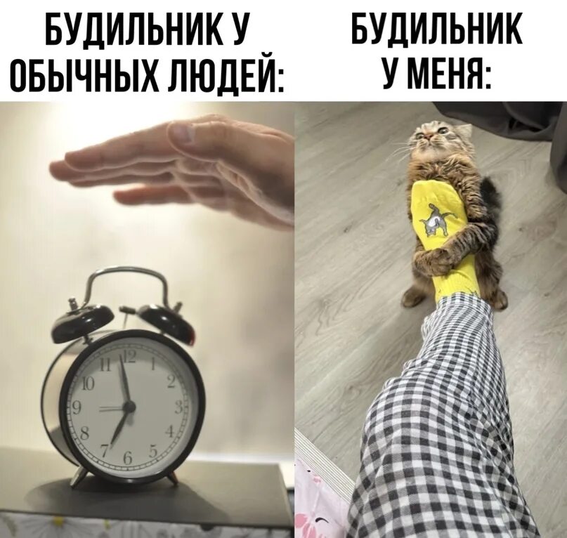 Просыпайся будильник. Будильник вставай ну вставай же. Встали мы не по будильнику. Вставай будильник звонит скажи что я перезвоню картинки прикольные. Будильник вставай ну вставай же.