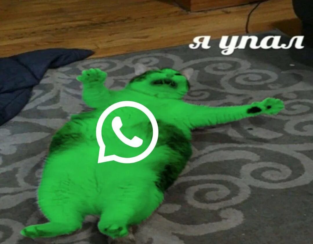 Ватсап упал. Ватсап я упал. WHATSAPP упал.