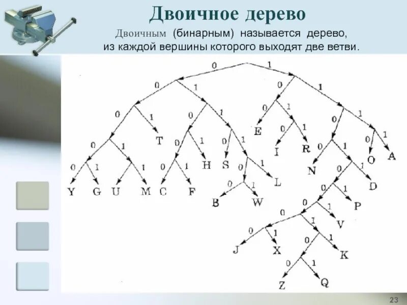 Ветви какое число