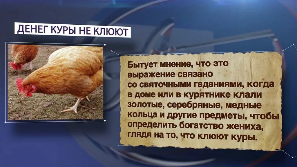 Курочка значение. Куры клюют деньги. куры не клюют фразеологизм. денег куры не клюют. денег куры не клюют значение фразеологизма.