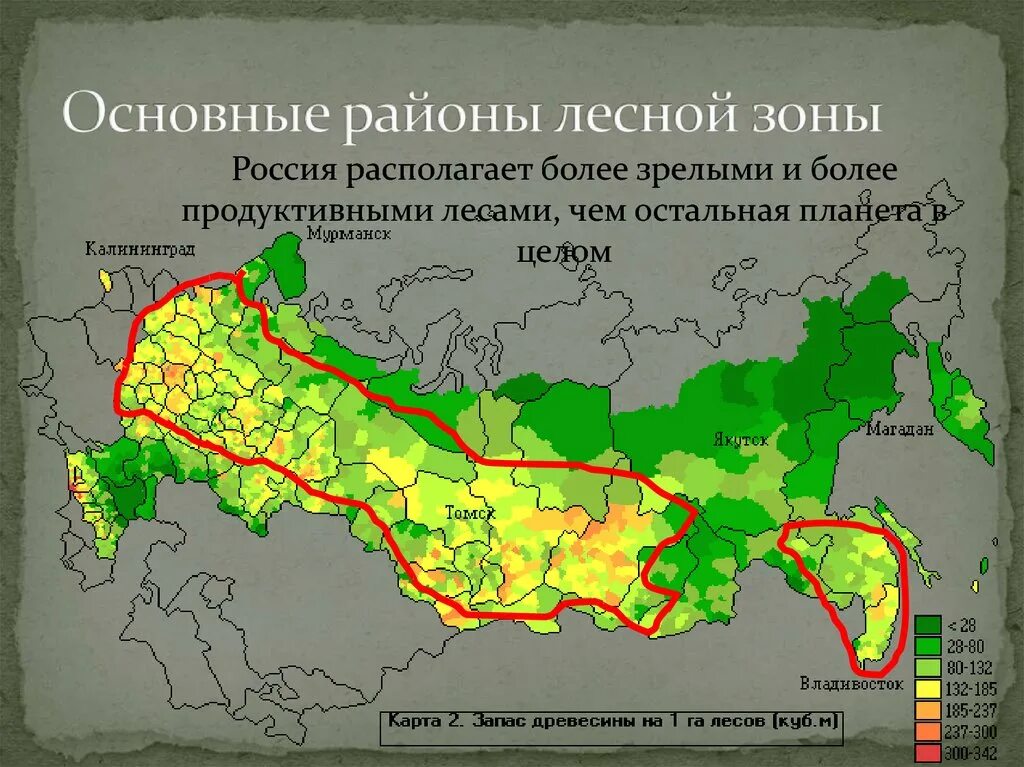 Основная зона. Районы Лесной промышленности. Лесные зоны России. Основные районы лесозаготовок. Карта Лесной промышленности России.