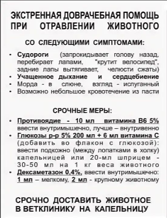 Что дать собаке при отравлении