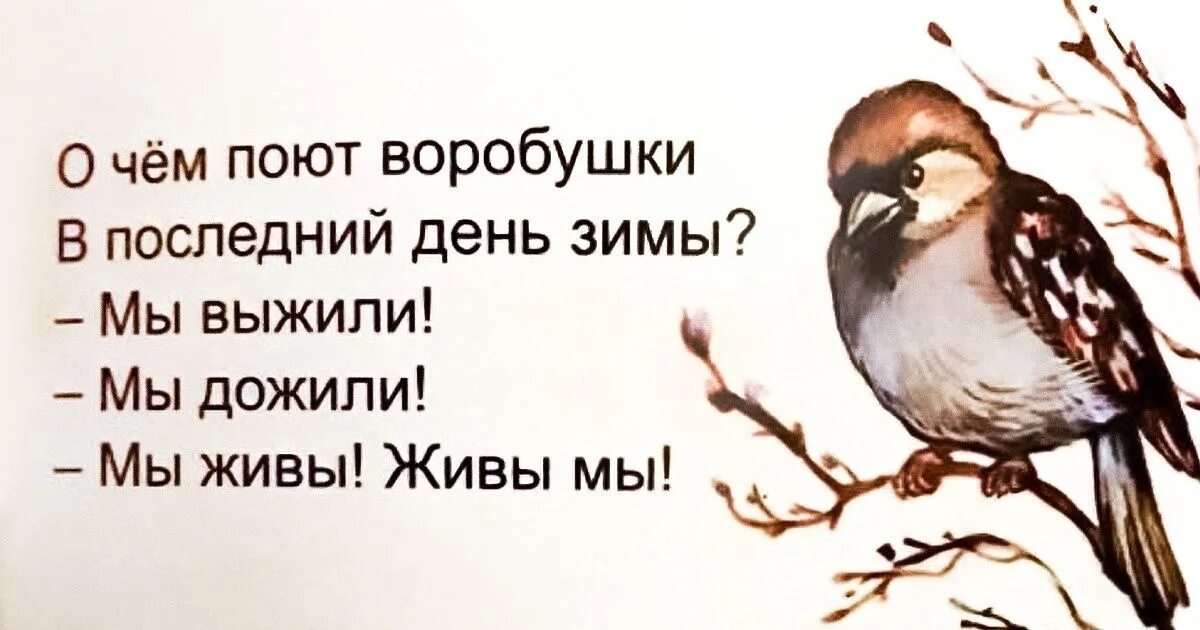 О чем поют аоробушки в последнийденб зимы. Стихотворение о чем поют воробушки в последний. О чем поют воробушки в последний день зимы. Мы выжили мы дожили мы живы живы мы. Воробышек глава 36