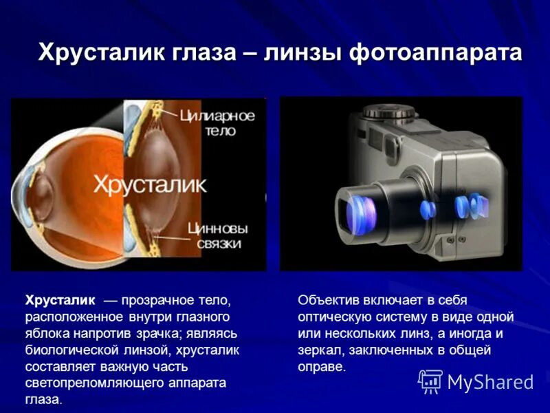 Применение линз. Magnifier лупа с микроскопом. Оптические линзовые приборы. Оптические приборы презентация. Оптическая труба для наблюдения.