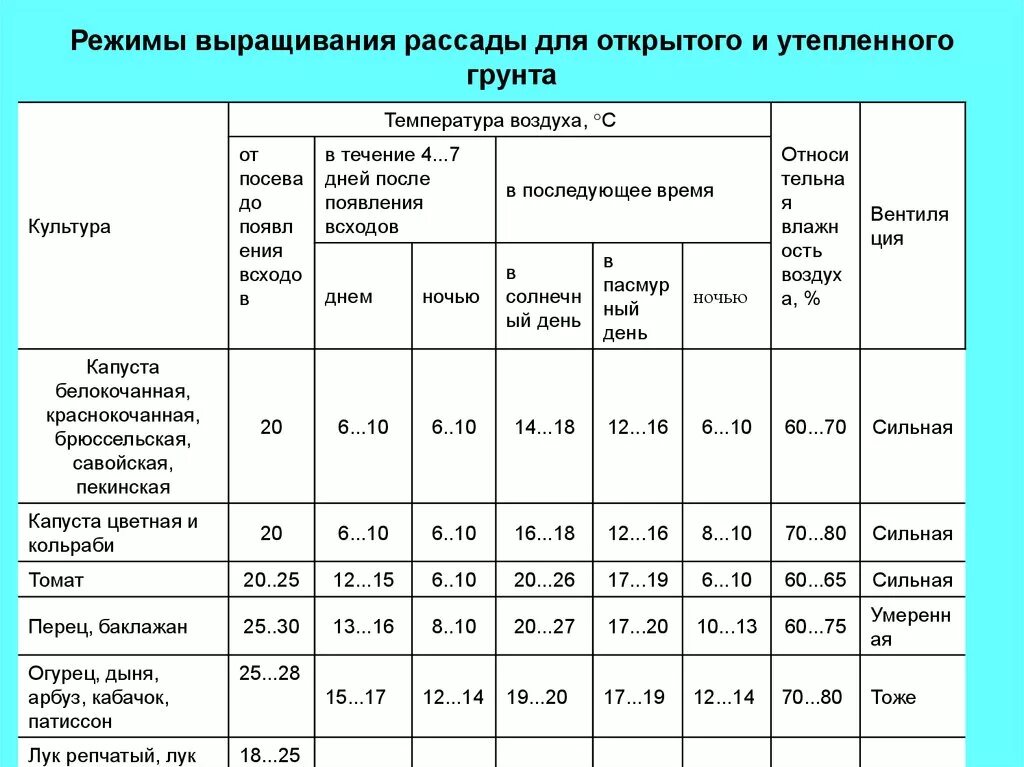 Температурный режим для рассады томатов в теплице. Оптимальная температура для высадки рассады томатов. Температура почвы для высадки рассады помидоров. Температурный режим для выращивания помидоров и перцев.