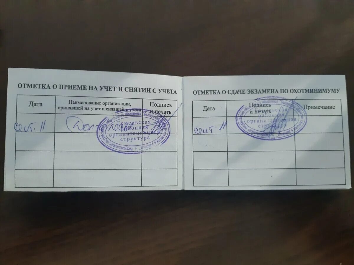 Разрешение на охоту фото. Что надо чтобы стать охотником. Охотник в лесу. Разрешение на охотничье оружие охотничий билет. Схема получения разрешения на оружие.