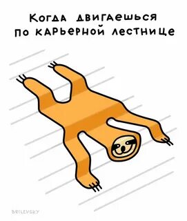 Сделай свободный