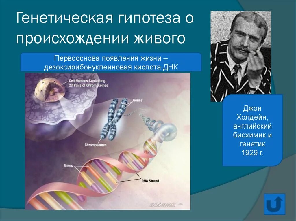 Один из авторов абиогенного происхождения жизни. Генетическая гипотеза. Гипотеза генетики. Генетическая гипотеза возникновения жизни. Возникновение генетики.