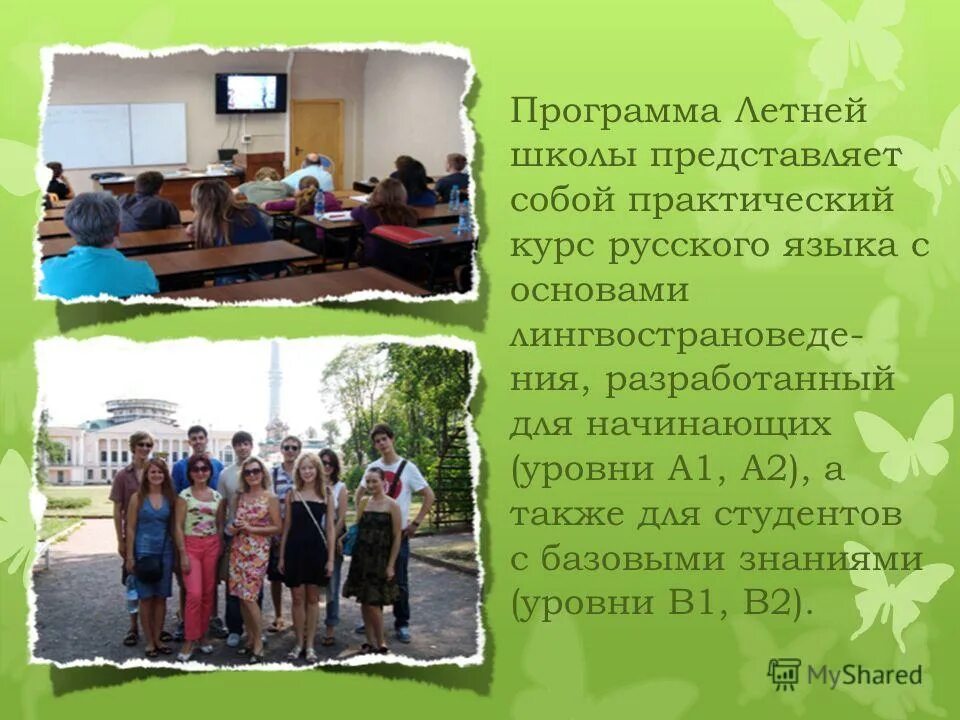 программа летней школы. летняя школа. программа летней школы. программа летней школы. программа организация детского отдыха в летний.