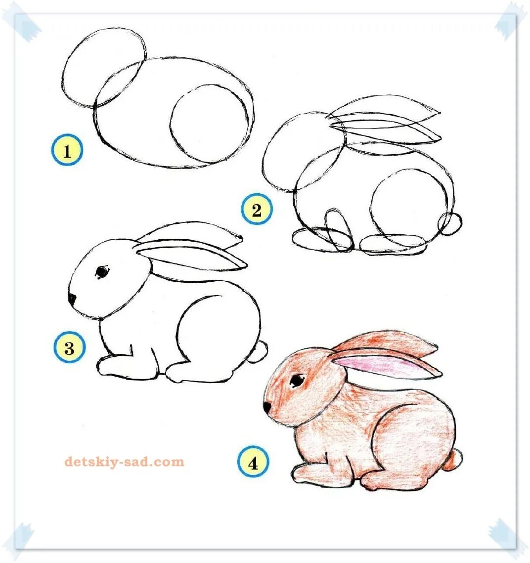 Рисуем 3 класс 3 четверть. Рисование животных для детей. Простые рисунки животных для детей. Этапы рисования животных. Схема рисования животных для детей.