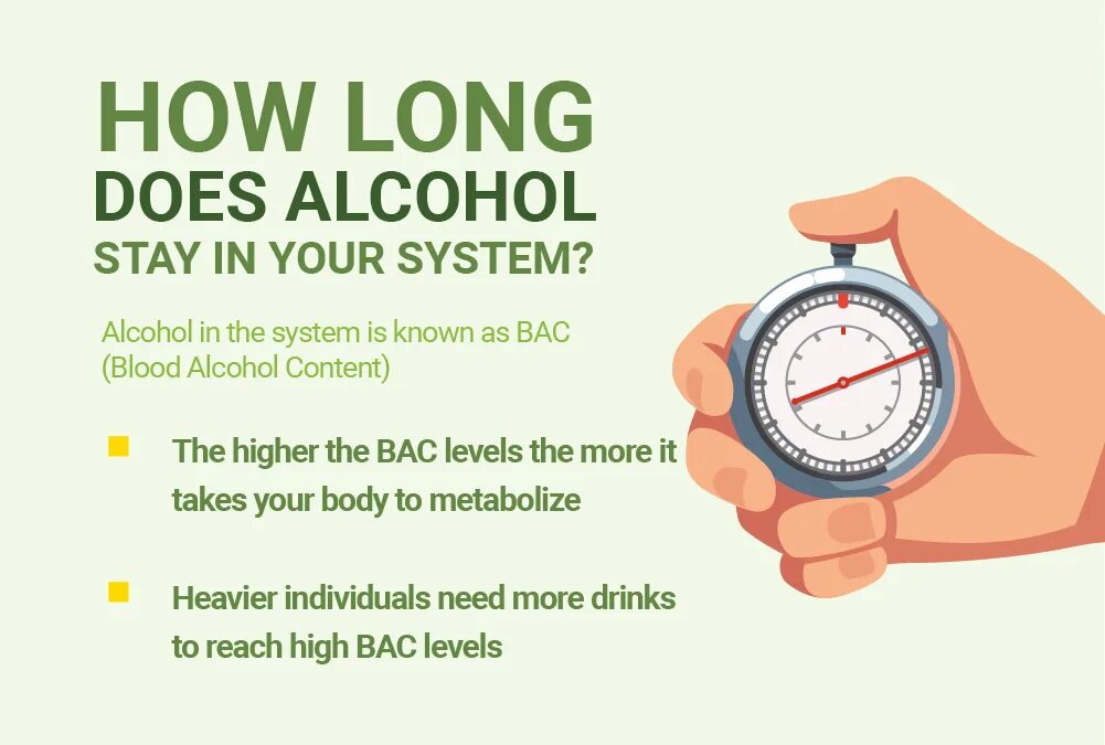 How much time how long. How long does alcohol stay in your system. how long. how long does alcohol stay in your pee.