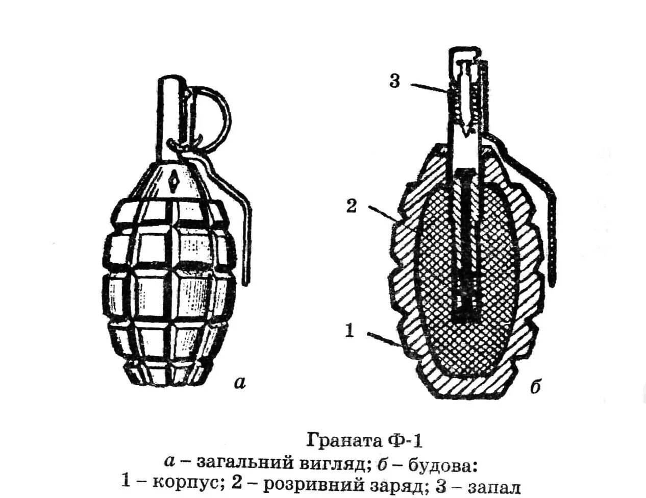 Устройство ручной гранаты ф 1