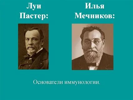 Фрукты для мечников
