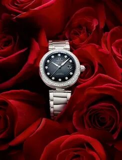 The one watches