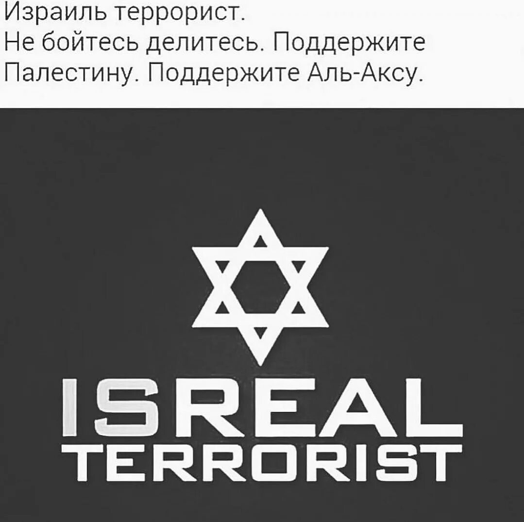 протестующие палестинцы. в подержу палестина кулак. арабская диаспора в россии. бренды поддерживающие палестину. россия и палестина отношения.