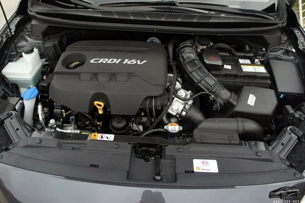 Двигатель нового сид. Kia Ceed ed двигатель 1.6. Двигатель Kia Ceed 2013. Kia Ceed 2008 1.6 двигатель. Киа СИД 2014 двигатель.